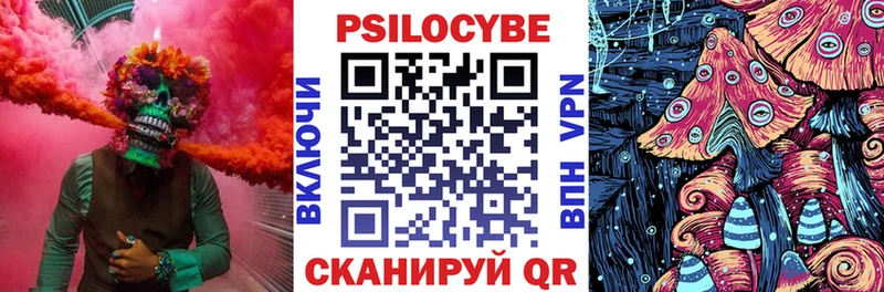 Псилоцибиновые грибы Psilocybe Мытищи